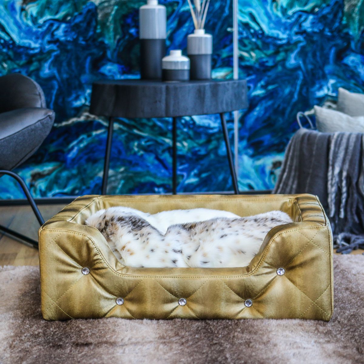 dogslounge antilope 01