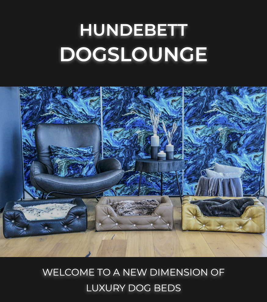 dogslounge header 01