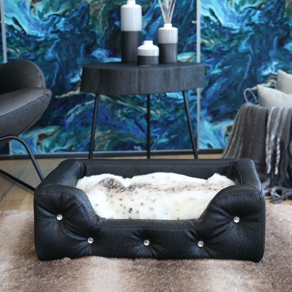 dogslounge strauss 01