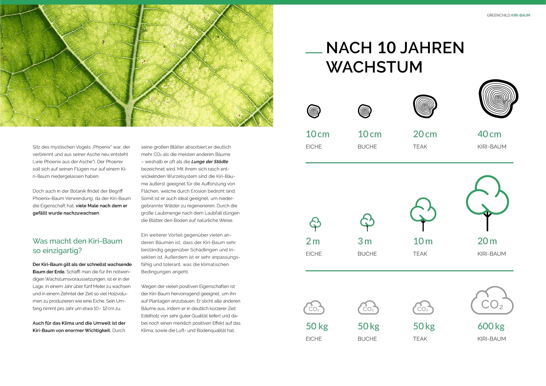 Greenchild Broschure 201907