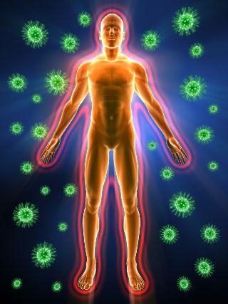 immunsystem teaser 01