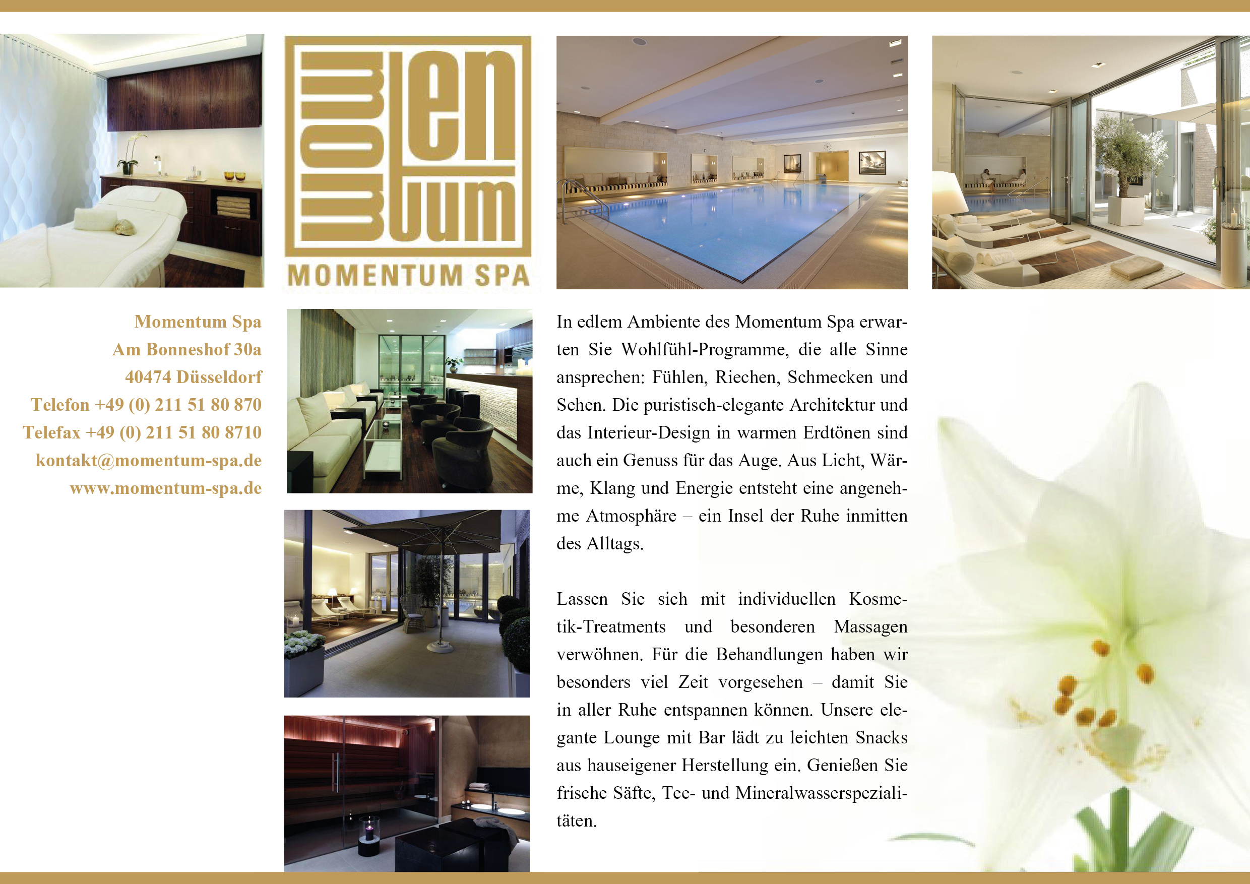 Momentum Spa 01