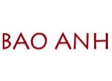 2019 BAO ANH DELUXE