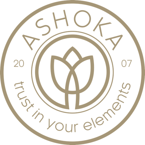 ashoka logo