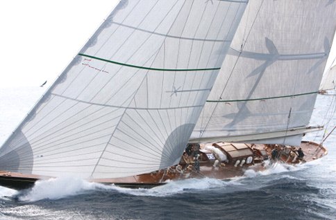 shamrock v 1
